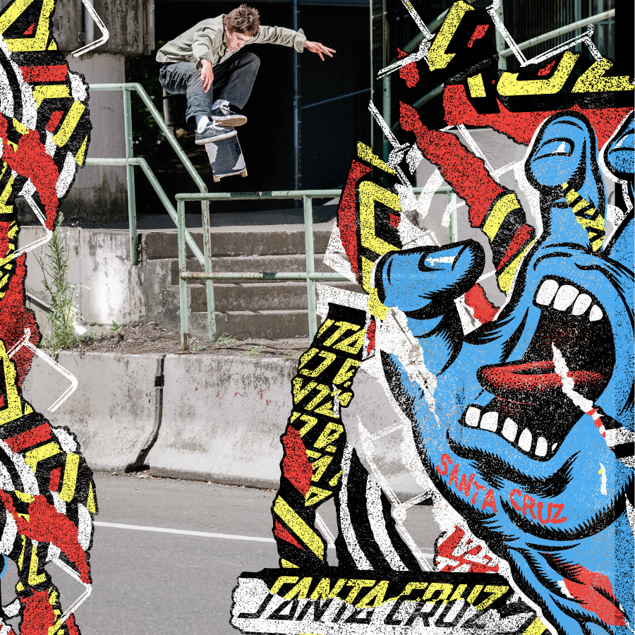Santa Cruz Skateboards - Browse Decks