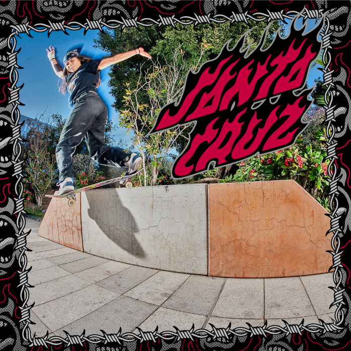 Santa Cruz Skateboards - Browse Decks