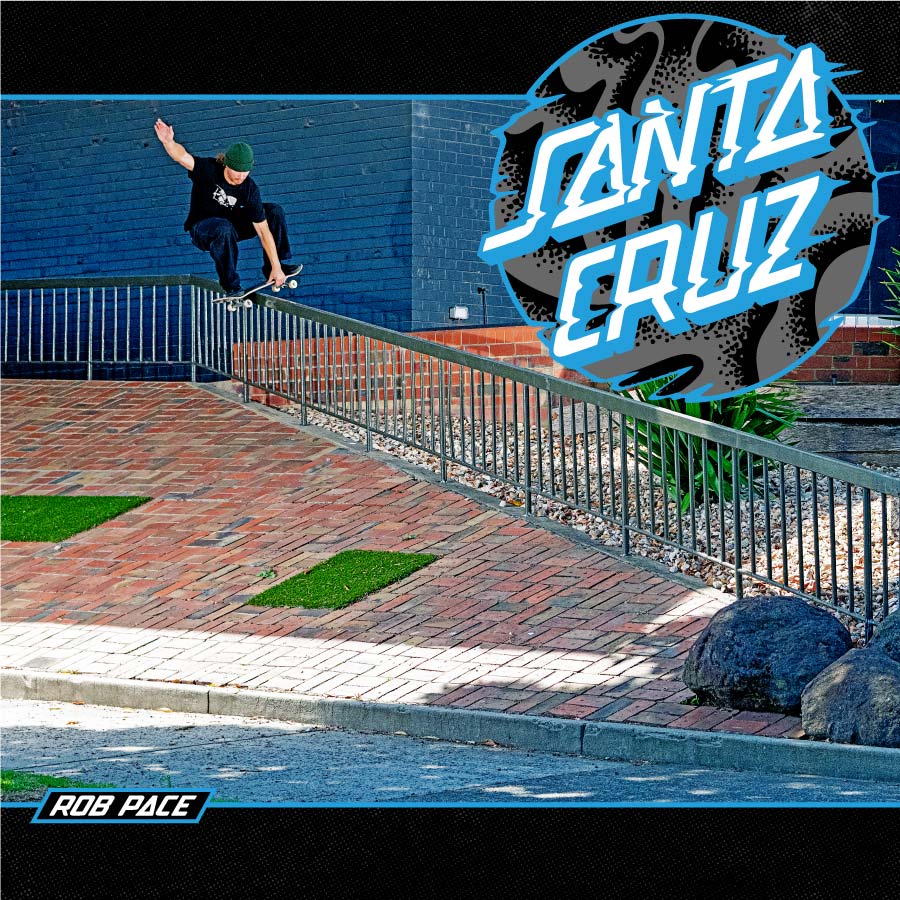 Santa Cruz Skateboards - Browse Decks